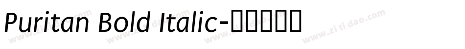 Puritan Bold Italic字体转换